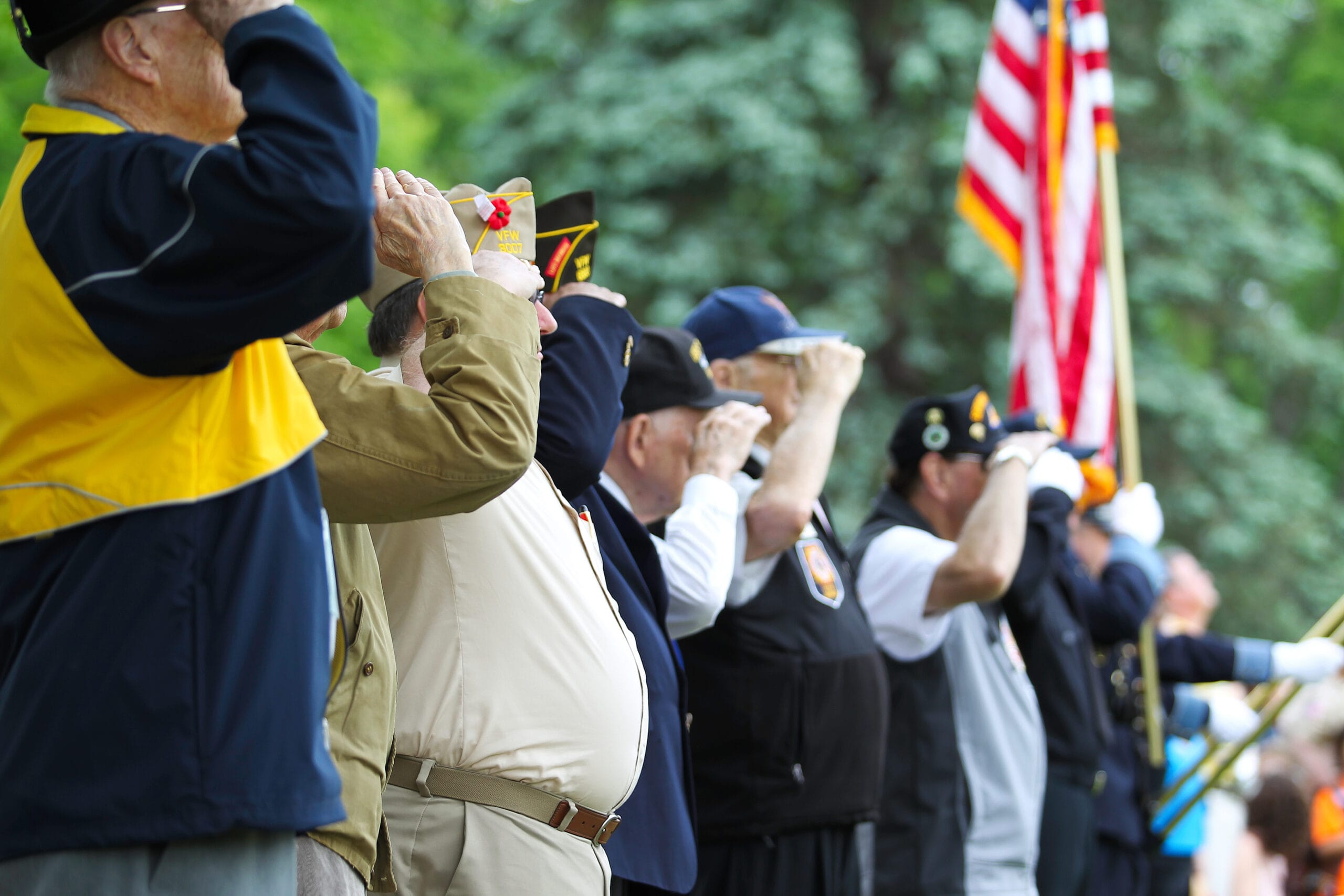 Veterans Salute